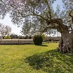 Apartament Cohar