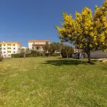 Apartament Cohar *